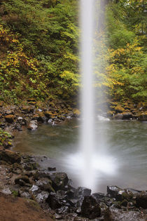 USA, Oregon, Columbia River Gorge, Ponytail Falls, 125 feet by Danita Delimont