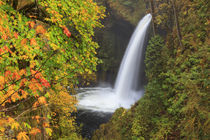 USA, Oregon, Columbia River Gorge, Metlako Falls, 101 feet by Danita Delimont