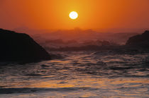 Sunset at Seal Rock: Oregon, USA von Danita Delimont