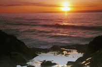 Sunset at Depoe Bay, Depoe Bay, Oregon, USA von Danita Delimont