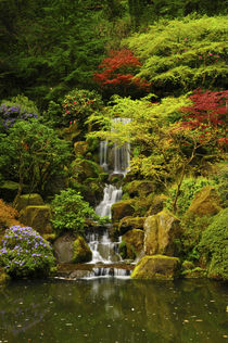 Spring, Portland Japanese Garden, Portland, Oregon, USA by Danita Delimont