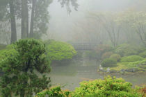 Portland Japanese Garden Fogged In: Portland, Oregon USA by Danita Delimont