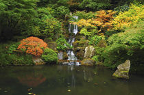 Waterfall in Autumn at the Portland Japanese Garden, Portlan... von Danita Delimont