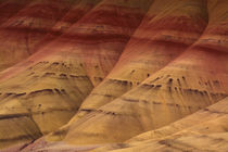 Close-up, Painted Hills, Mitchell, Oregon, USA by Danita Delimont