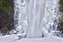 Winter at Multnomah Falls in Columbia Gorge, Oregon, USA. by Danita Delimont