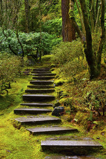 upward steps, wild garden, Portland Japanese Garden, Portlan... by Danita Delimont