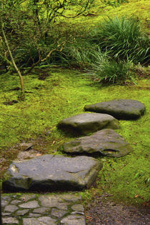 Stepping Stones, Mosaic, Wild Garden, Portland Japanese Gard... by Danita Delimont