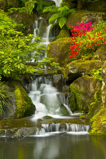 Heavenly Falls, Strolling Garden, Portland Japanese Garden, ... by Danita Delimont