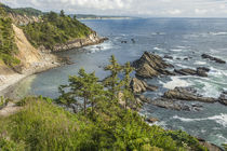 South Cove at low tide as seen from Cape Arago. by Danita Delimont