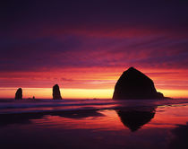 USA, Oregon, Oregon Coast, View of Haystack Rock on Cannon b... by Danita Delimont