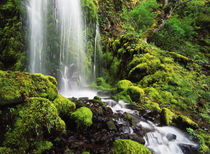USA, Oregon, Columbia Gorge Scenic Area, Columbia River Gorg... by Danita Delimont