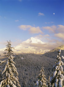 USA, Oregon, Mt by Danita Delimont