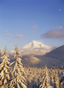USA, Oregon, Mt by Danita Delimont