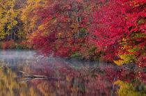 USA, Pennsylvania, Dingmans Ferry, Hidden Lake by Danita Delimont