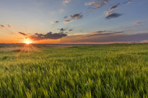 Sunset over prairie grasslands in Badlands National Park, So... by Danita Delimont