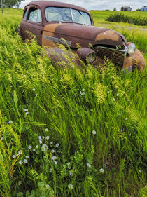 Rusty old vehicles in the ghost town of Okaton, South Dakota, USA by Danita Delimont