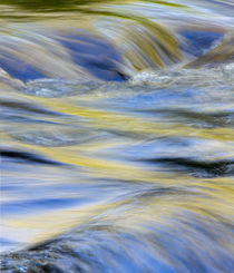 Flowing water and spring colors reflected on stream, Great S... by Danita Delimont