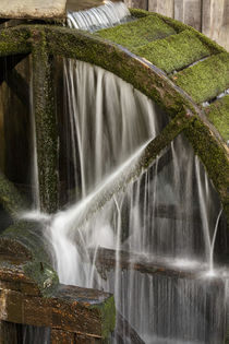 Water wheel, Cable Mill, Cades Cove, Great Smoky Mountains N... by Danita Delimont