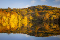 Autumn color at Radnor Lake, Nashville, Tennessee, USA. by Danita Delimont