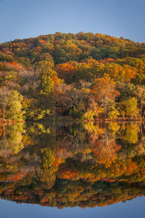 Autumn color at Radnor Lake, Nashville, Tennessee, USA. by Danita Delimont