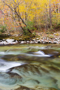 Tennessee, Great Smoky Mountains National Park, Little River von Danita Delimont