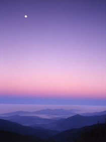 USA, Tennessee, Cherohala Skyway, Full moon over the Smoky Mountains by Danita Delimont
