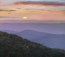 Sunrise over Blue Ridge Mountains, Great Smoky Mountains Nat... by Danita Delimont