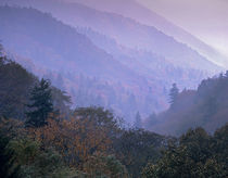 Great Smoky Mountains National Park near Newfound Gap, Tennessee, USA von Danita Delimont