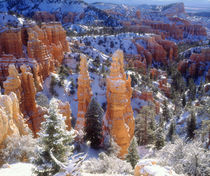 Bryce Canyon National Park; Winter. von Danita Delimont