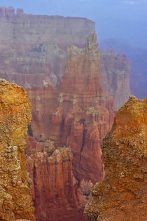 USA, Utah, Bryce Canyon National Park by Danita Delimont