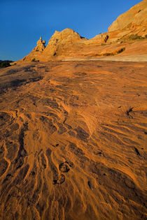 USA, Utah, Moab, sandstone by Danita Delimont