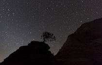 Sandstone formation at night in Zion National Park, Utah, USA by Danita Delimont