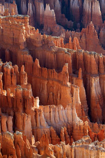 Rock formations and hoodoos, Bryce Amphitheater, Bryce Canyo... by Danita Delimont
