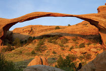 Landscape Arch in early morning light, Arches National Park,... by Danita Delimont