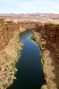 Colorado River, Glen Canyon, Arizona and Utah, USA. by Danita Delimont