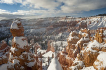 Bryce Canyon Amphitheater, Bryce Canyon National Park in sno... by Danita Delimont