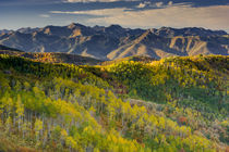 Mountain Landscape in fall color, East Canyon, near Salt Lak... von Danita Delimont