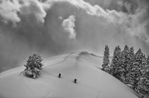 Backcountry Ski Climbers in fresh powder, view near Beartrap... by Danita Delimont