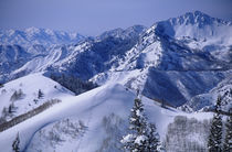 Proposed Bear Trap wilderness, Ski Tracks in Bear Trap, Mt von Danita Delimont