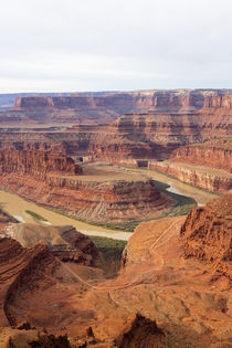 USA, Utah, Canyonlands National Park, Island in the Sky, Goo... by Danita Delimont