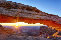 USA, Utah, Canyonlands National Park, Island in the Sky, Mes... by Danita Delimont