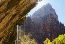 USA, Utah, Zion National Park, Weeping Rock. von Danita Delimont