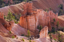 Utah, Bryce Canyon National Park, Bryce Canyon and Hoodoos by Danita Delimont