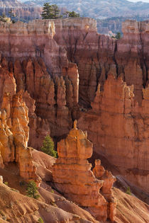 Utah, Bryce Canyon National Park, Bryce Canyon and Hoodoos von Danita Delimont