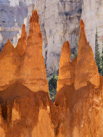 Utah, Bryce Canyon National Park, Bryce Canyon and Hoodoos a... von Danita Delimont