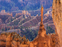 Utah, Bryce Canyon National Park, The Sentinel by Danita Delimont