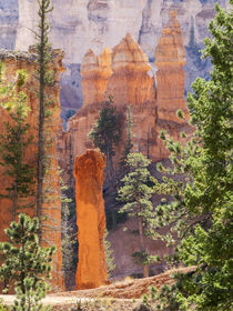 Utah, Bryce Canyon National Park, Bryce Canyon and Hoodoos a... by Danita Delimont