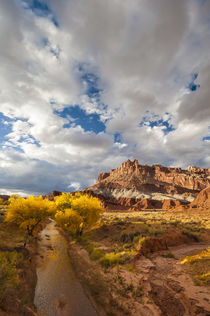 Usa, Capital Reef National Park by Danita Delimont