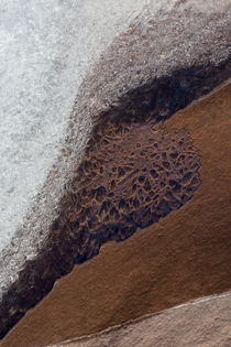 USA, Utah, Rill Creek, Abstract Nature von Danita Delimont
