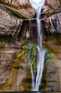 Lower Calf Creek Falls, Calf Creek Recreation Area, Utah, USA. by Danita Delimont
